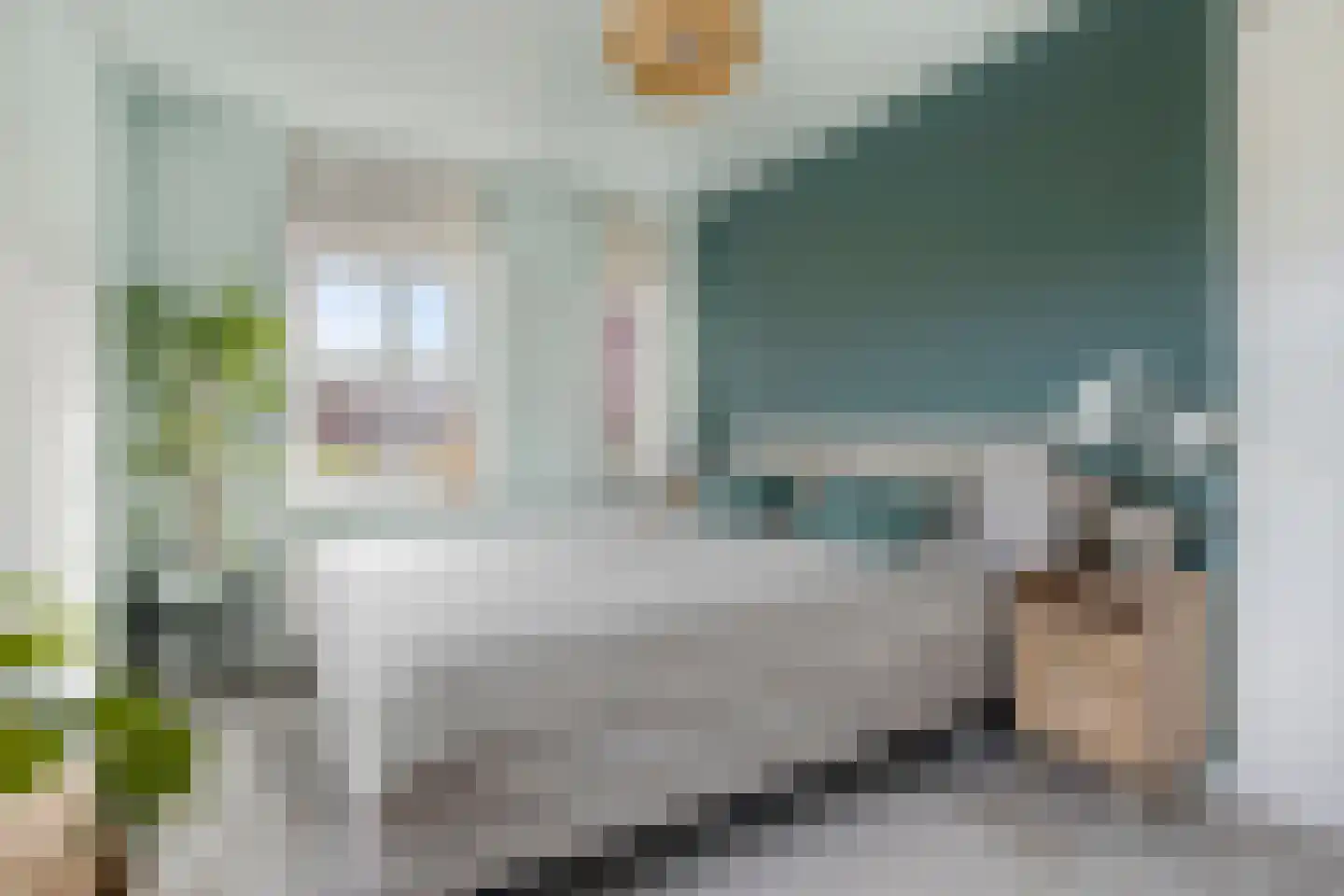 Vangstok 6 Sint Pancras thumbnail 20