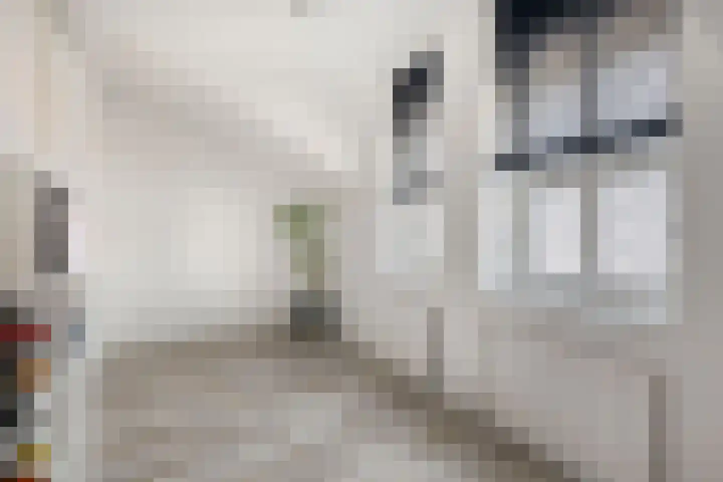 Vangstok 6 Sint Pancras thumbnail 25