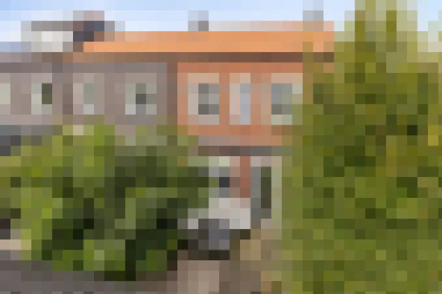 Vangstok 6 Sint Pancras thumbnail 27