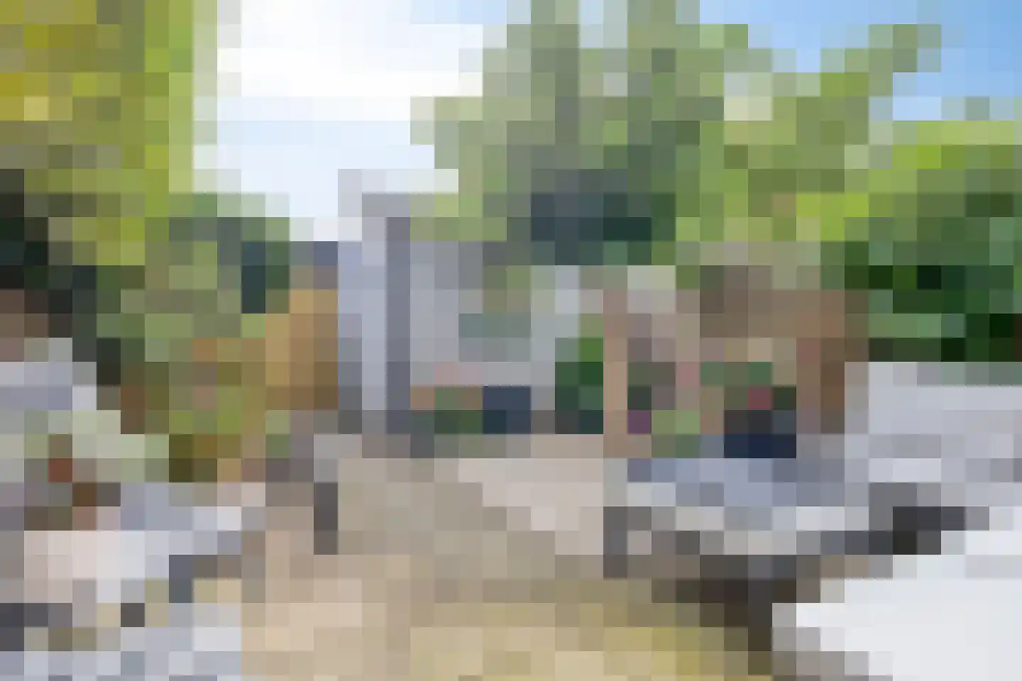 Vangstok 6 Sint Pancras thumbnail 28