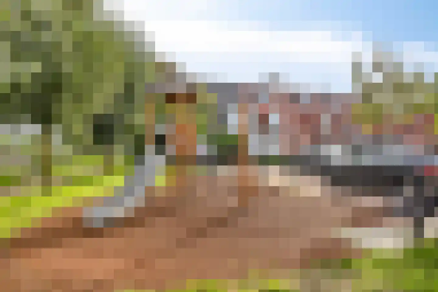 Vangstok 6 Sint Pancras thumbnail 31
