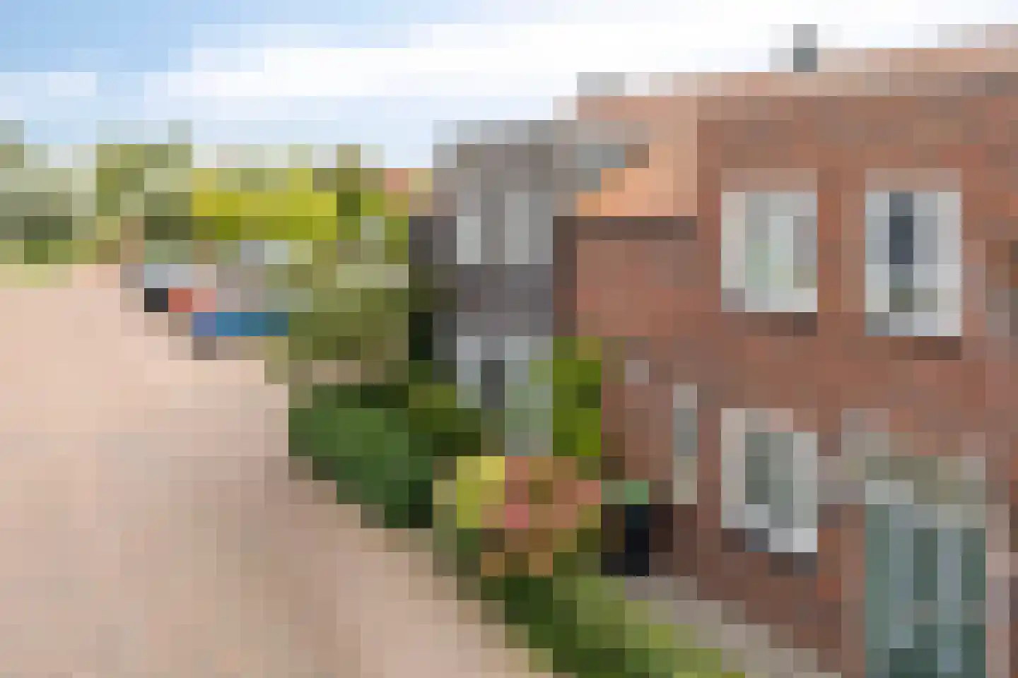 Vangstok 6 Sint Pancras thumbnail 32