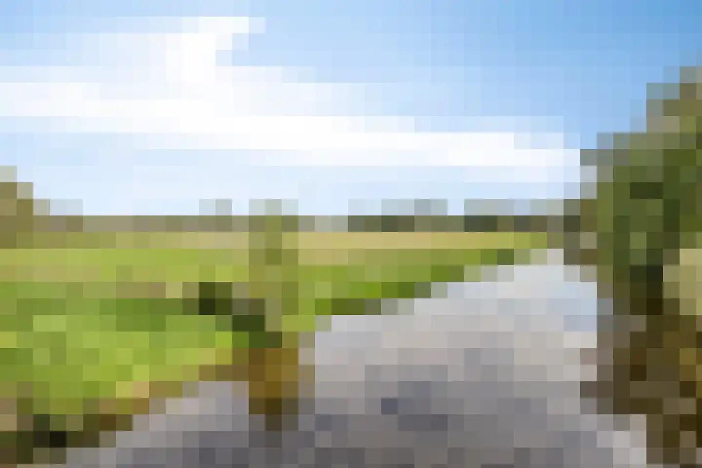 Vangstok 6 Sint Pancras thumbnail 35