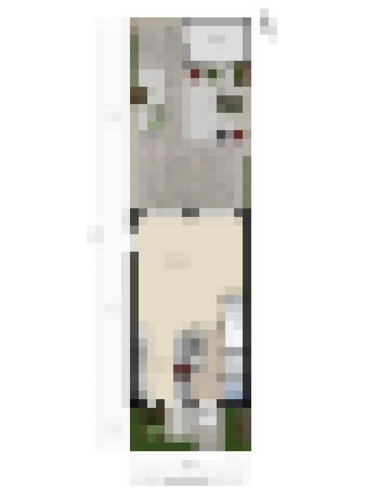Vangstok 6 Sint Pancras thumbnail 38
