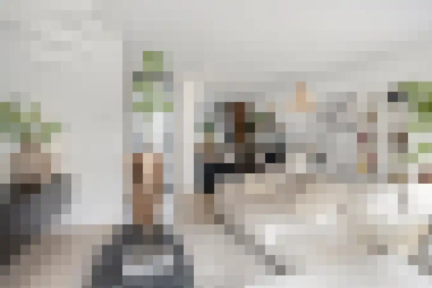 Vangstok 6 Sint Pancras thumbnail 9