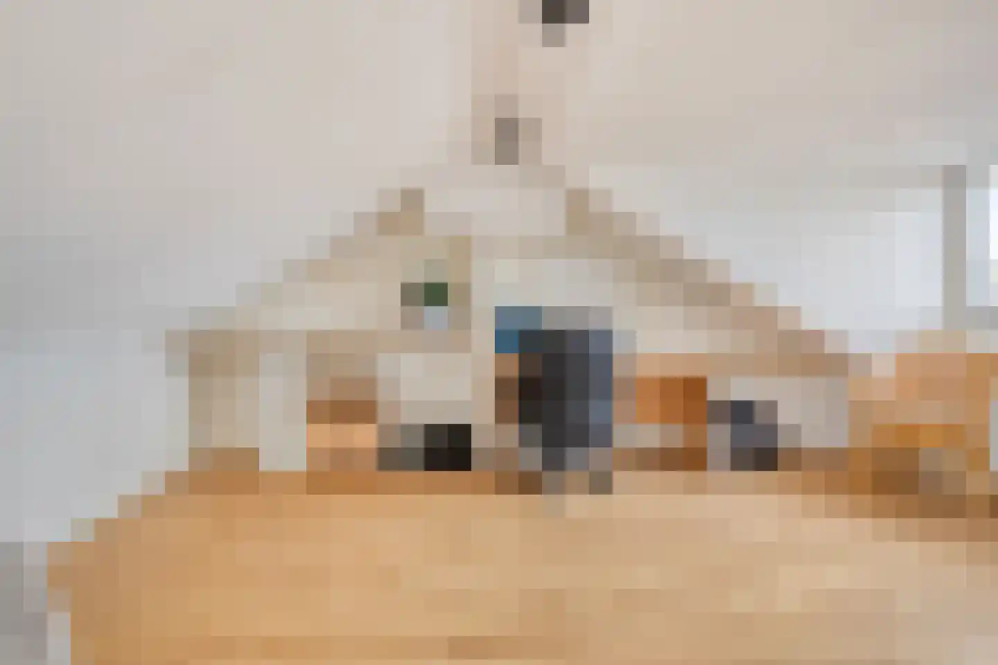 Vangstraat 11 Stompetoren thumbnail 25