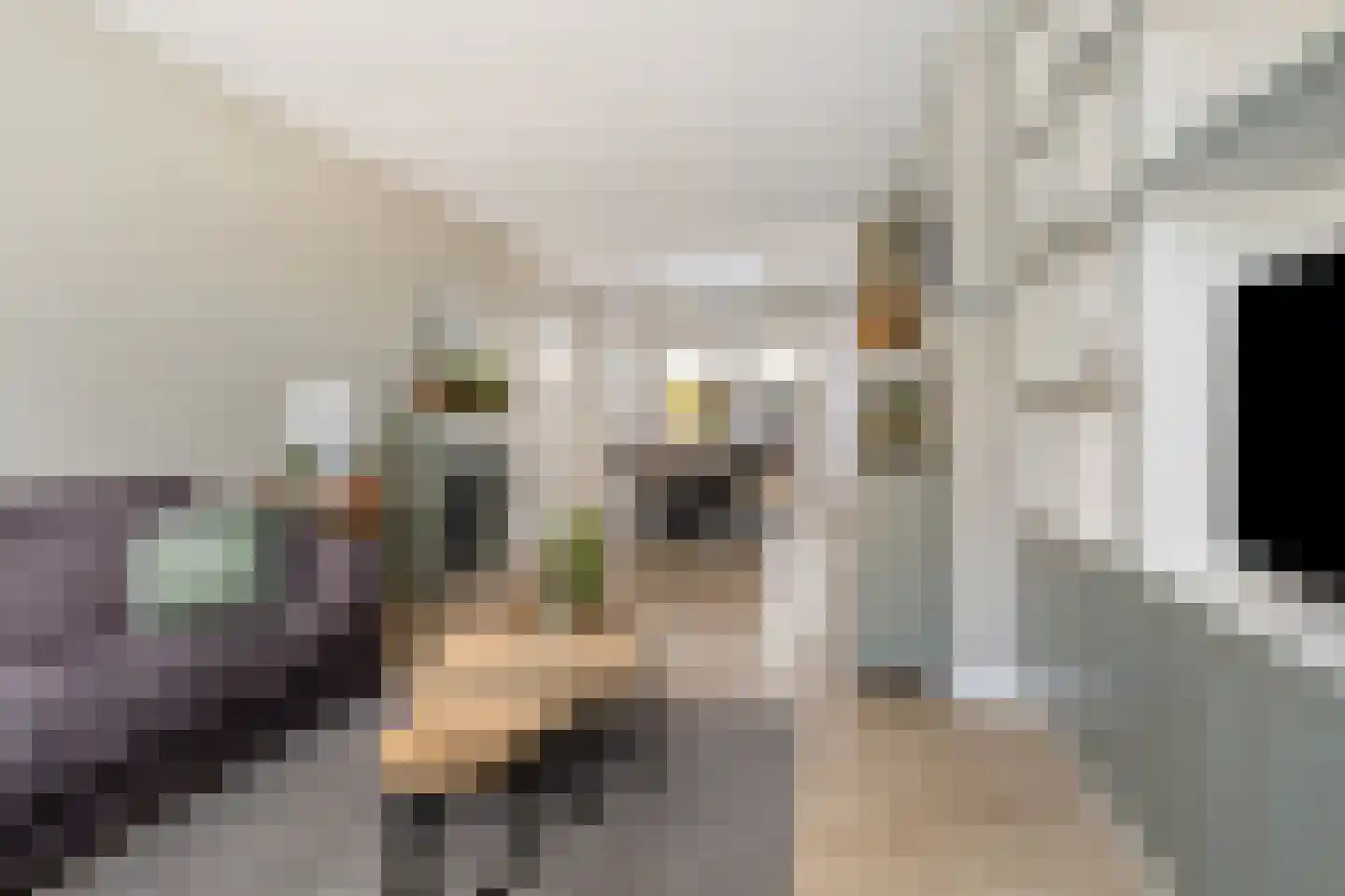 Vangstraat 11 Stompetoren thumbnail 5