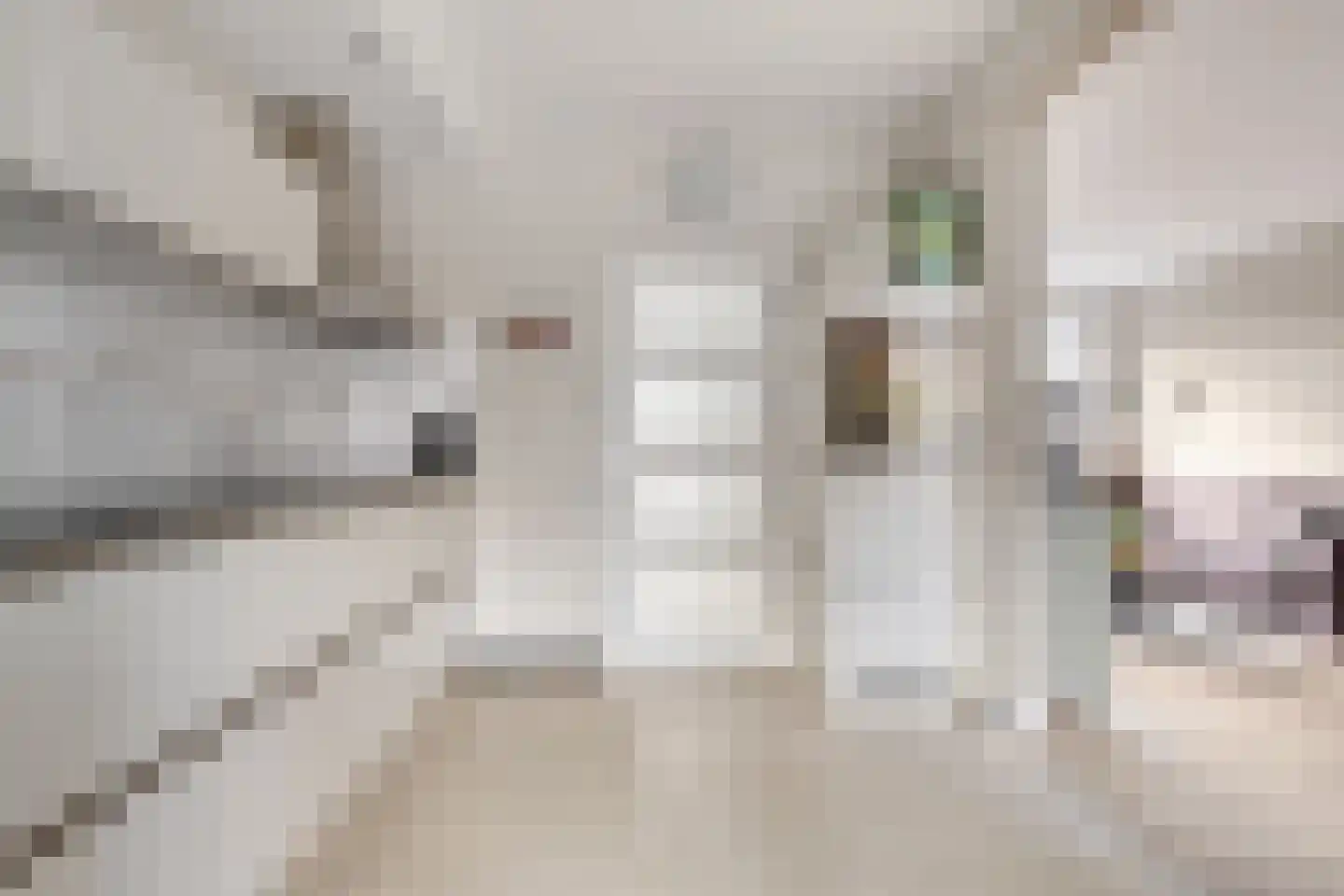 Vangstraat 11 Stompetoren thumbnail 7
