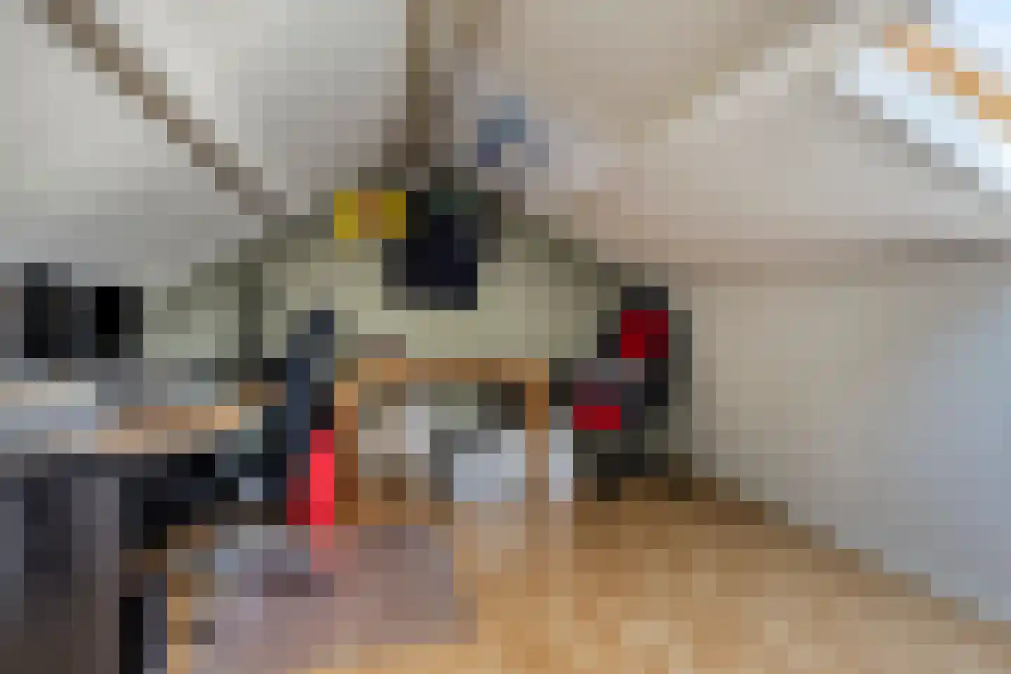 Vangstraat 20 Wolvega thumbnail 21