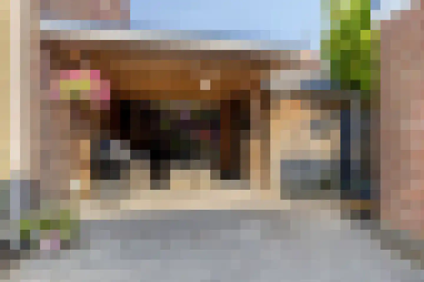 Vangstraat 20 Wolvega thumbnail 23