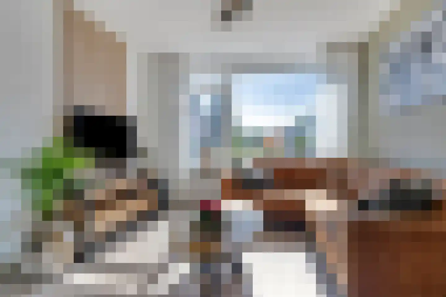 Vangstraat 20 Wolvega thumbnail 4