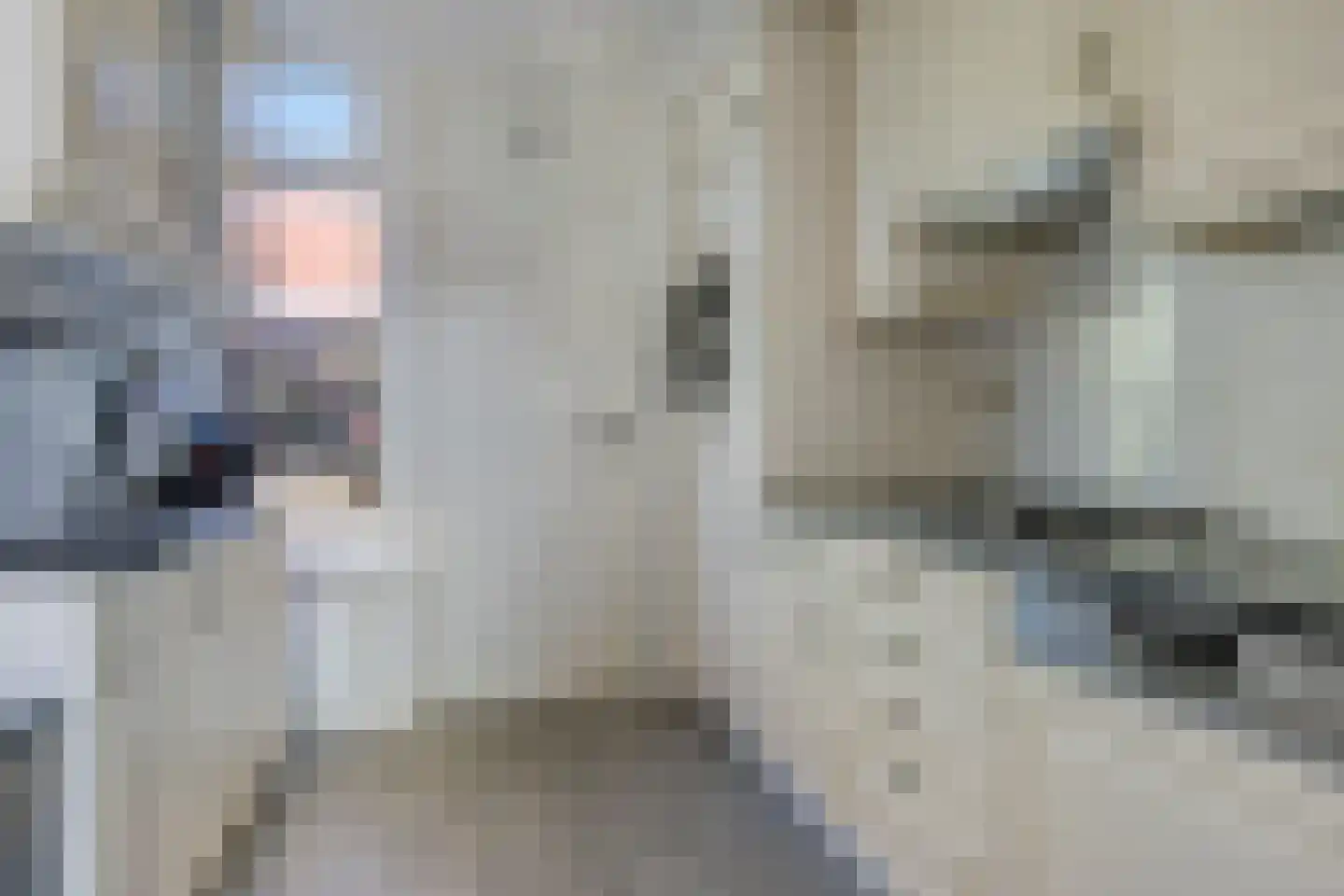Vangstraat 20 Wolvega thumbnail 7