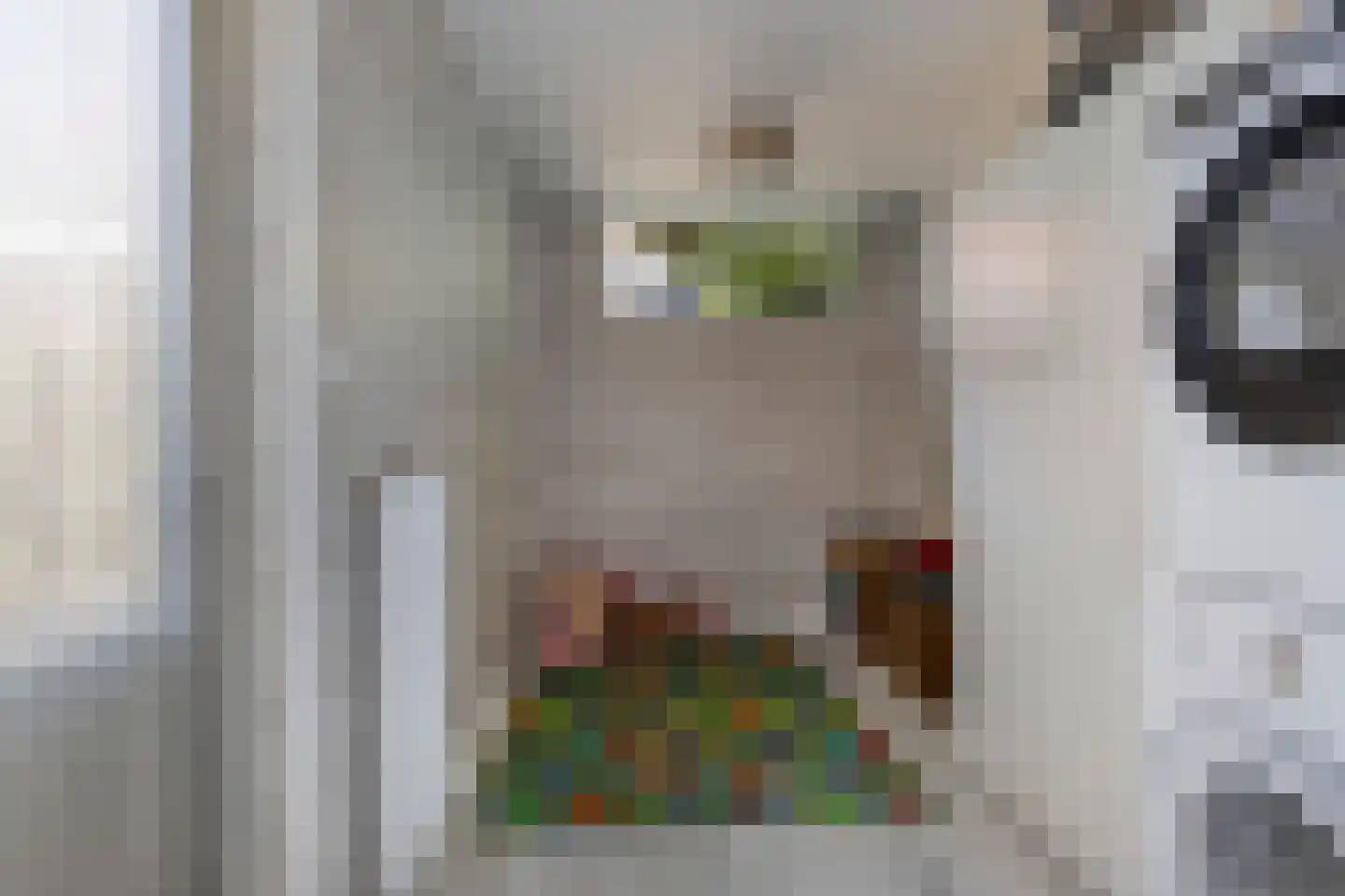 Vangstraat 20 Wolvega thumbnail 9
