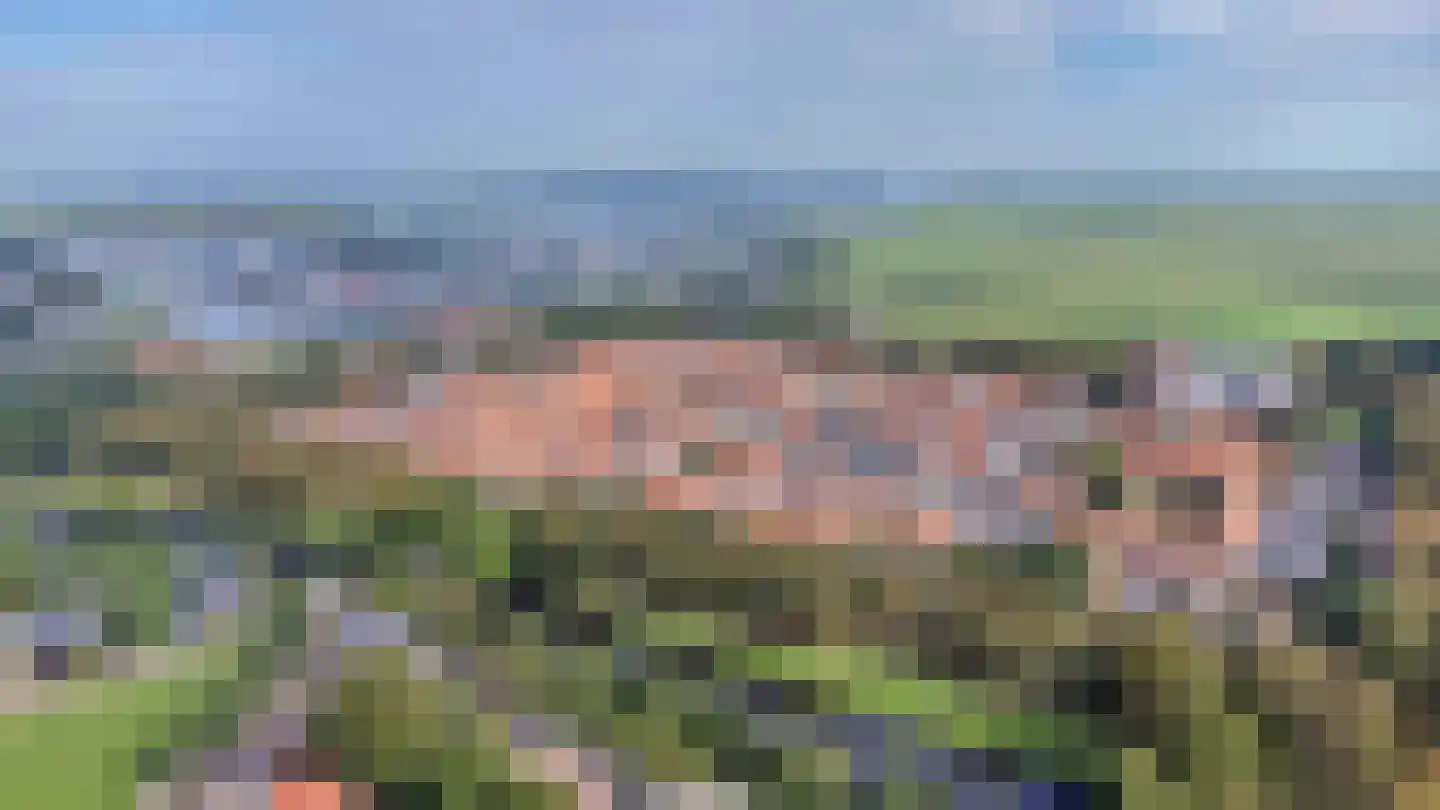 Vangstraat 6 Elburg thumbnail 60