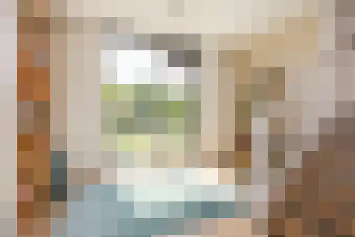 Vanilleweg 43 Utrecht thumbnail 16