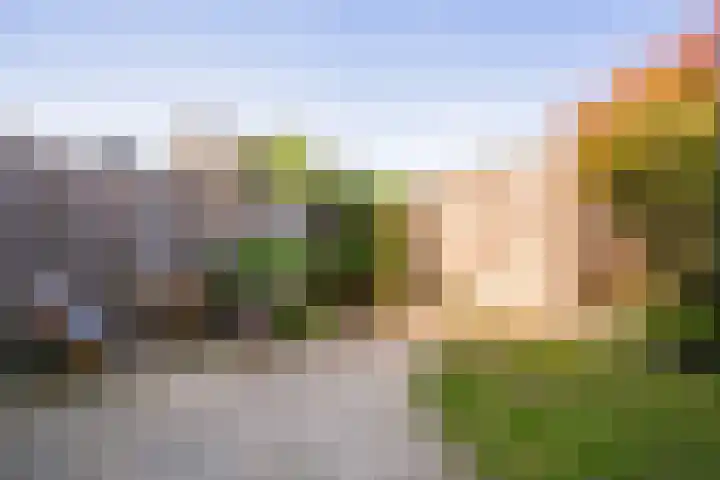 Vanilleweg 43 Utrecht thumbnail 30