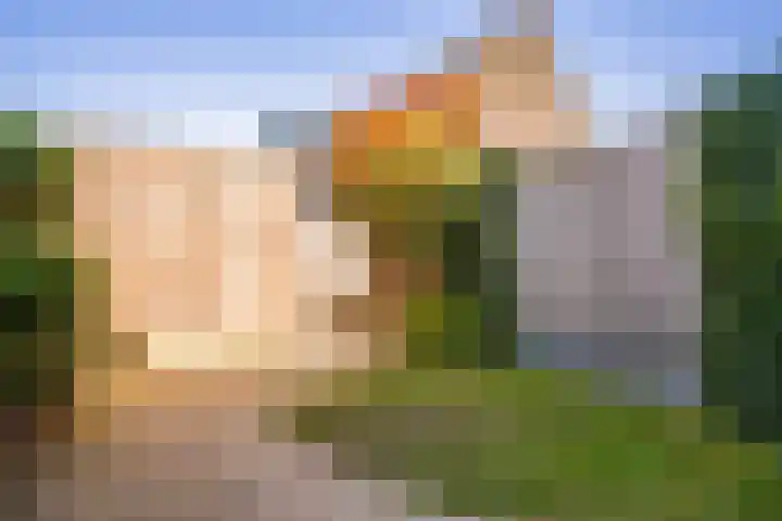 Vanilleweg 43 Utrecht thumbnail 31