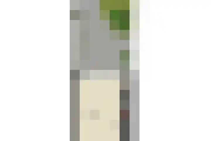 Vanilleweg 43 Utrecht thumbnail 35