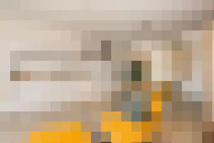 Vanilleweg 43 Utrecht thumbnail 9