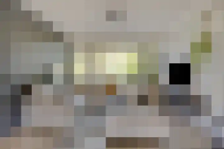 Vanvitelliweg 15 Eindhoven thumbnail 10