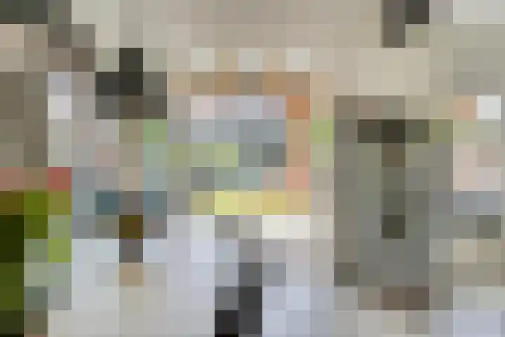 Vanvitelliweg 15 Eindhoven thumbnail 13
