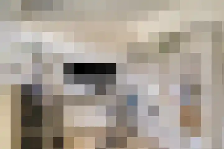 Vanvitelliweg 15 Eindhoven thumbnail 27