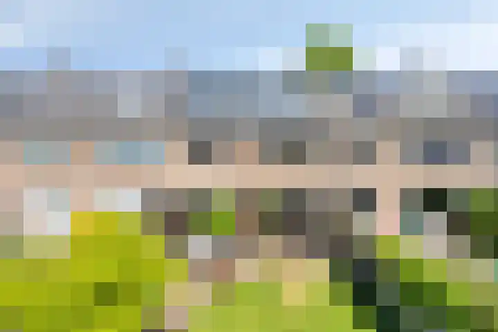 Vanvitelliweg 15 Eindhoven thumbnail 41