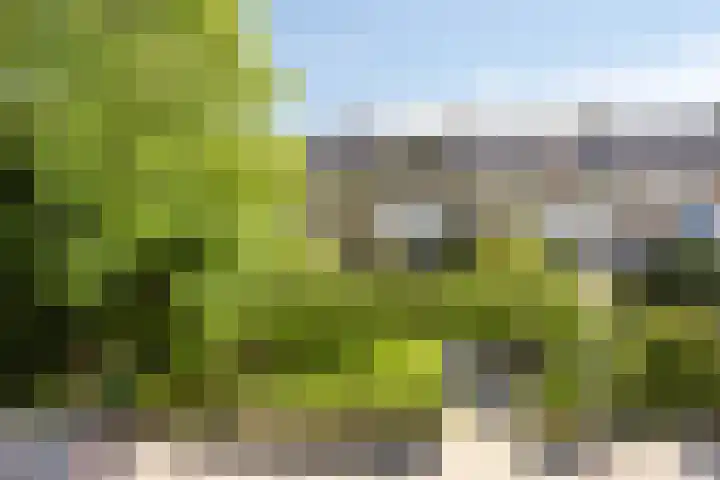 Vanvitelliweg 15 Eindhoven thumbnail 43