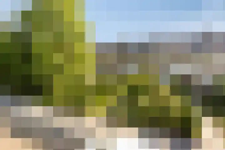 Vanvitelliweg 15 Eindhoven thumbnail 44