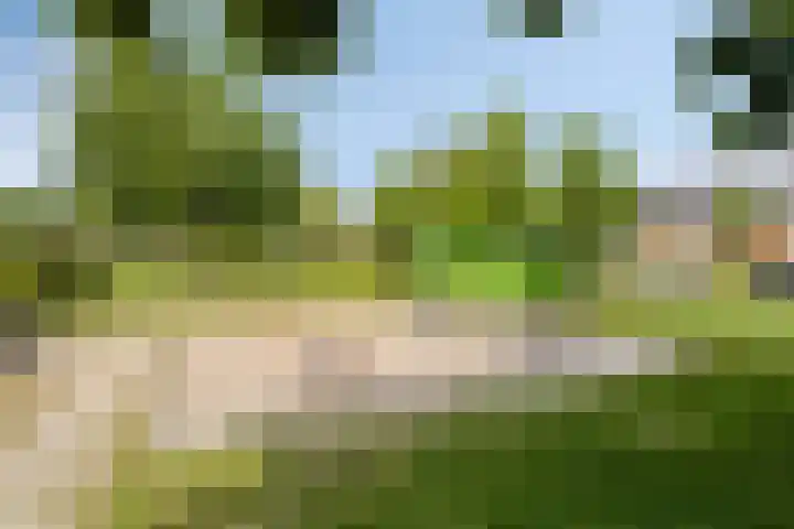 Vanvitelliweg 15 Eindhoven thumbnail 49