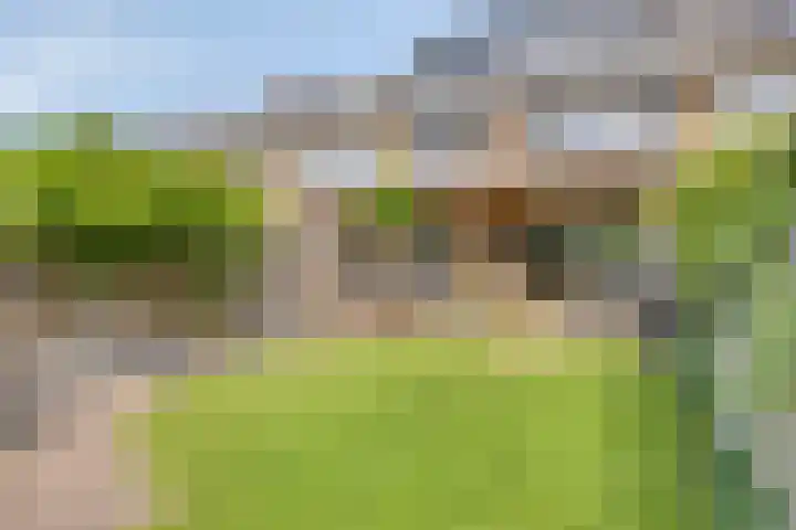 Vanvitelliweg 15 Eindhoven thumbnail 6
