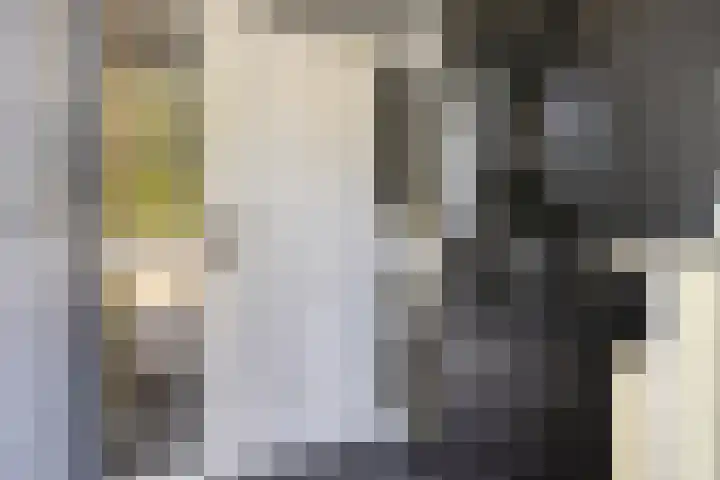 Vanvitelliweg 15 Eindhoven thumbnail 7