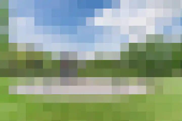 Vanvitelliweg 33 Eindhoven thumbnail 37
