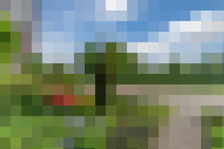 Vanvitelliweg 33 Eindhoven thumbnail 38