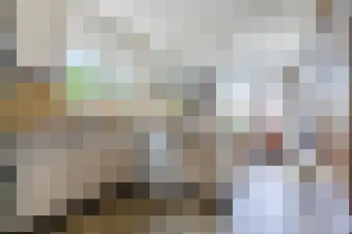 Vanvitelliweg 33 Eindhoven thumbnail 4