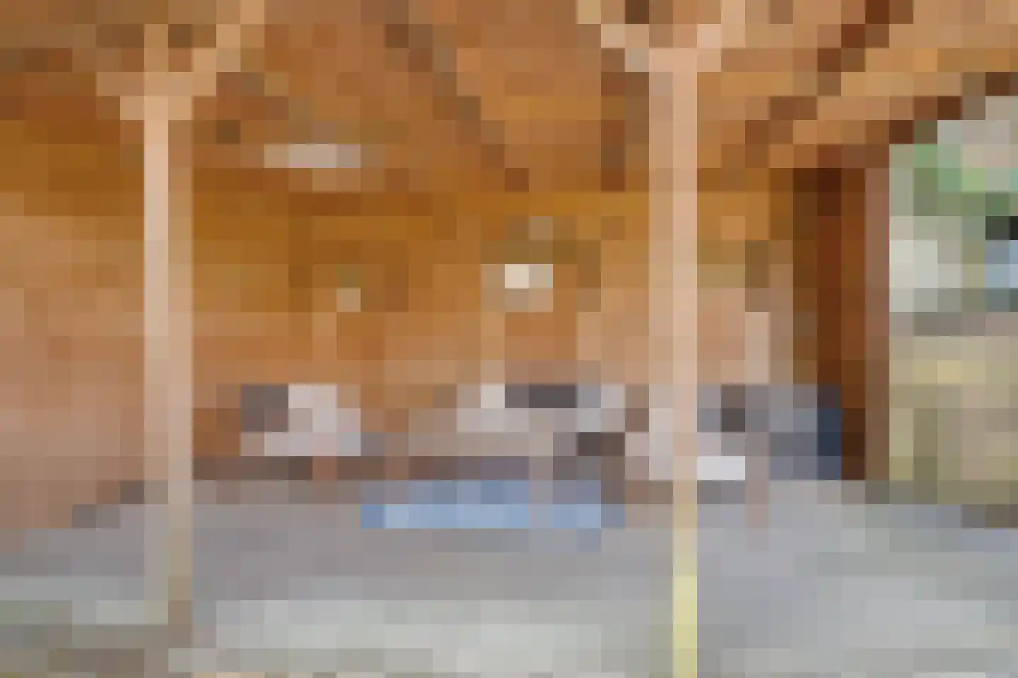 Varda 8 Geldrop thumbnail 29