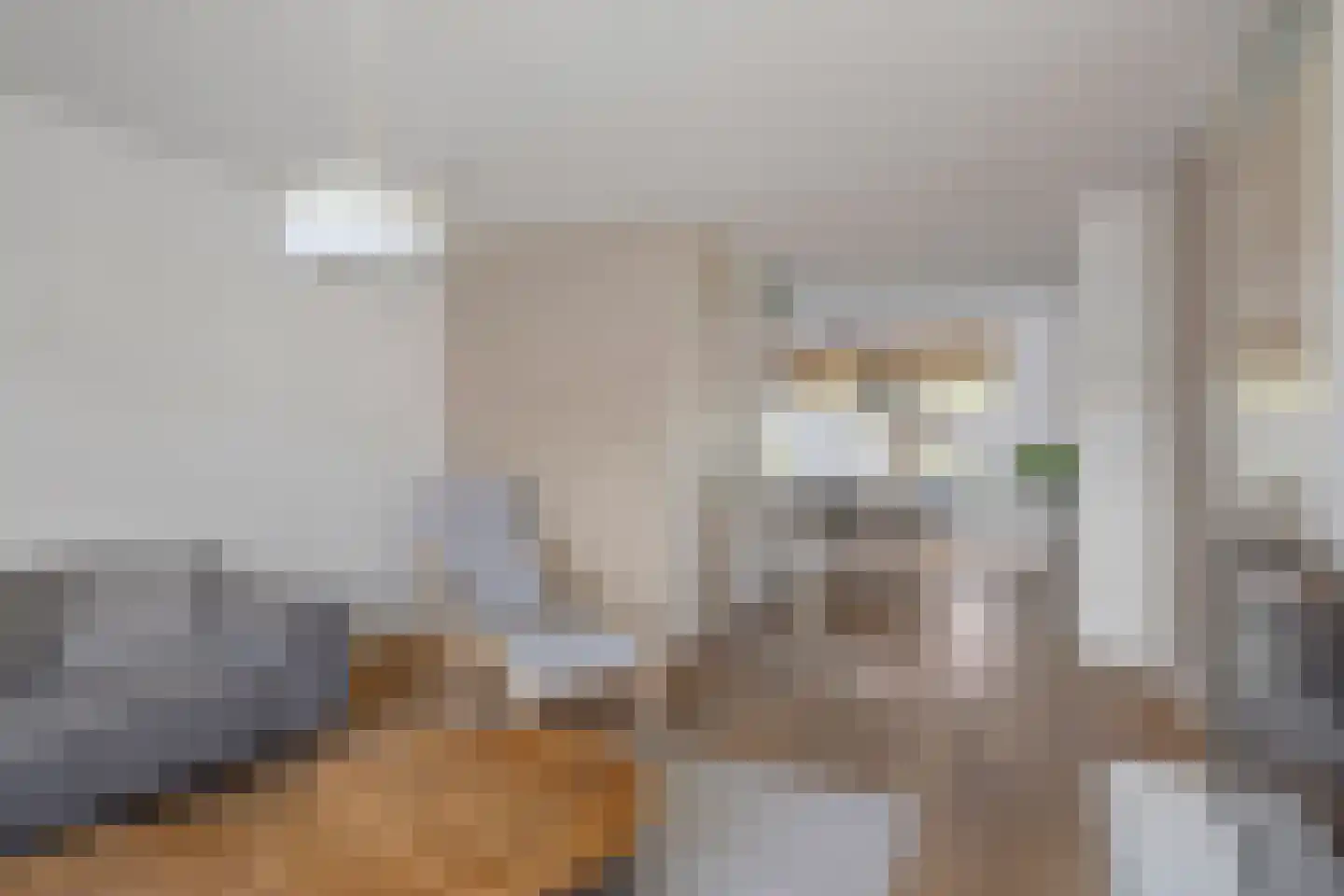 Varda 8 Geldrop thumbnail 4