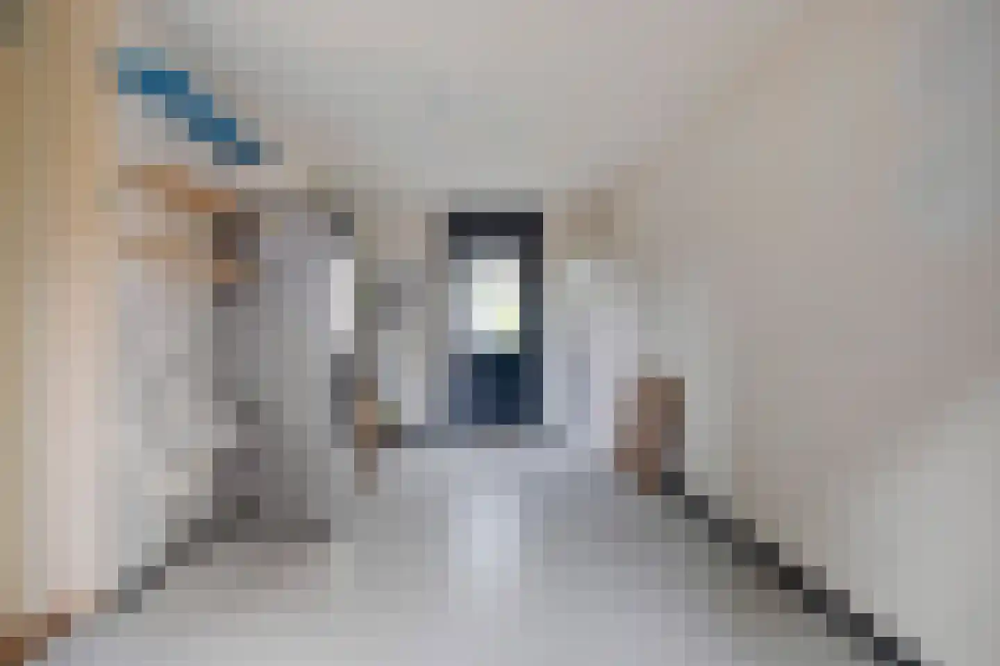 Varda 8 Geldrop thumbnail 9