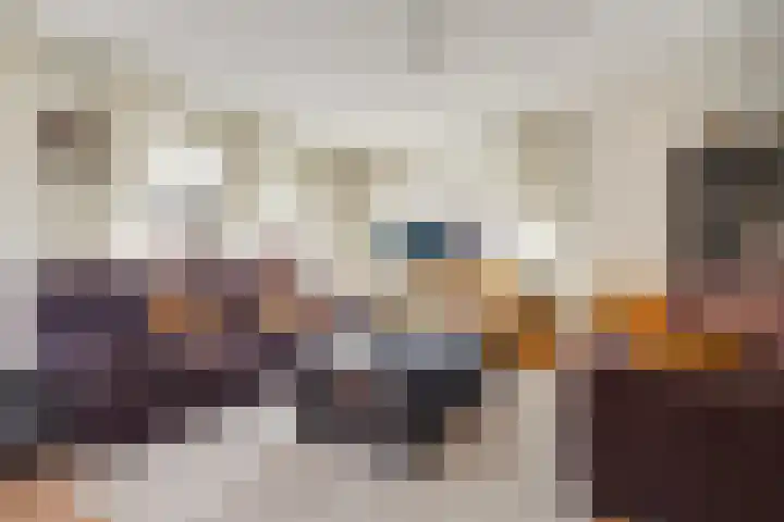 Vardinkhof 8 Winterswijk Kotten thumbnail 12
