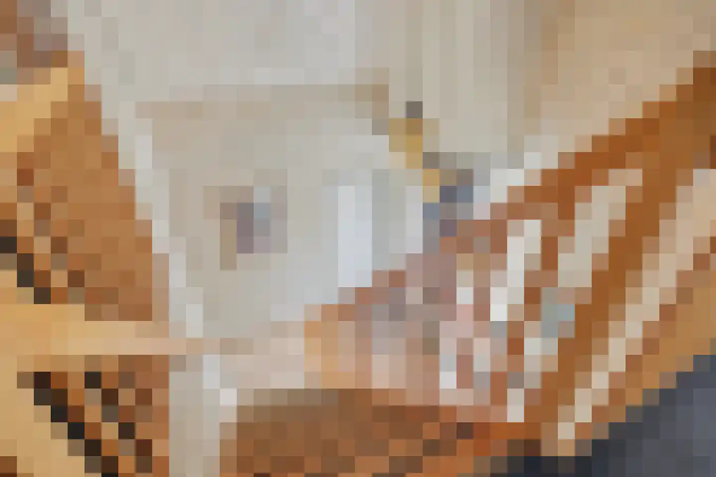Vardinkhof 8 Winterswijk Kotten thumbnail 30