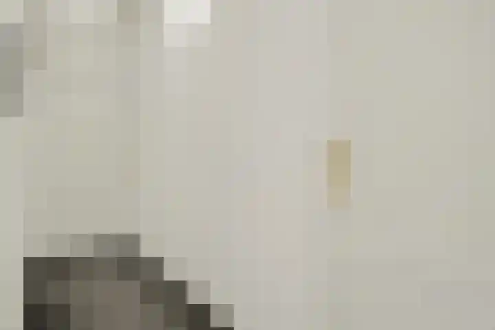 Vardinkhof 8 Winterswijk Kotten thumbnail 32