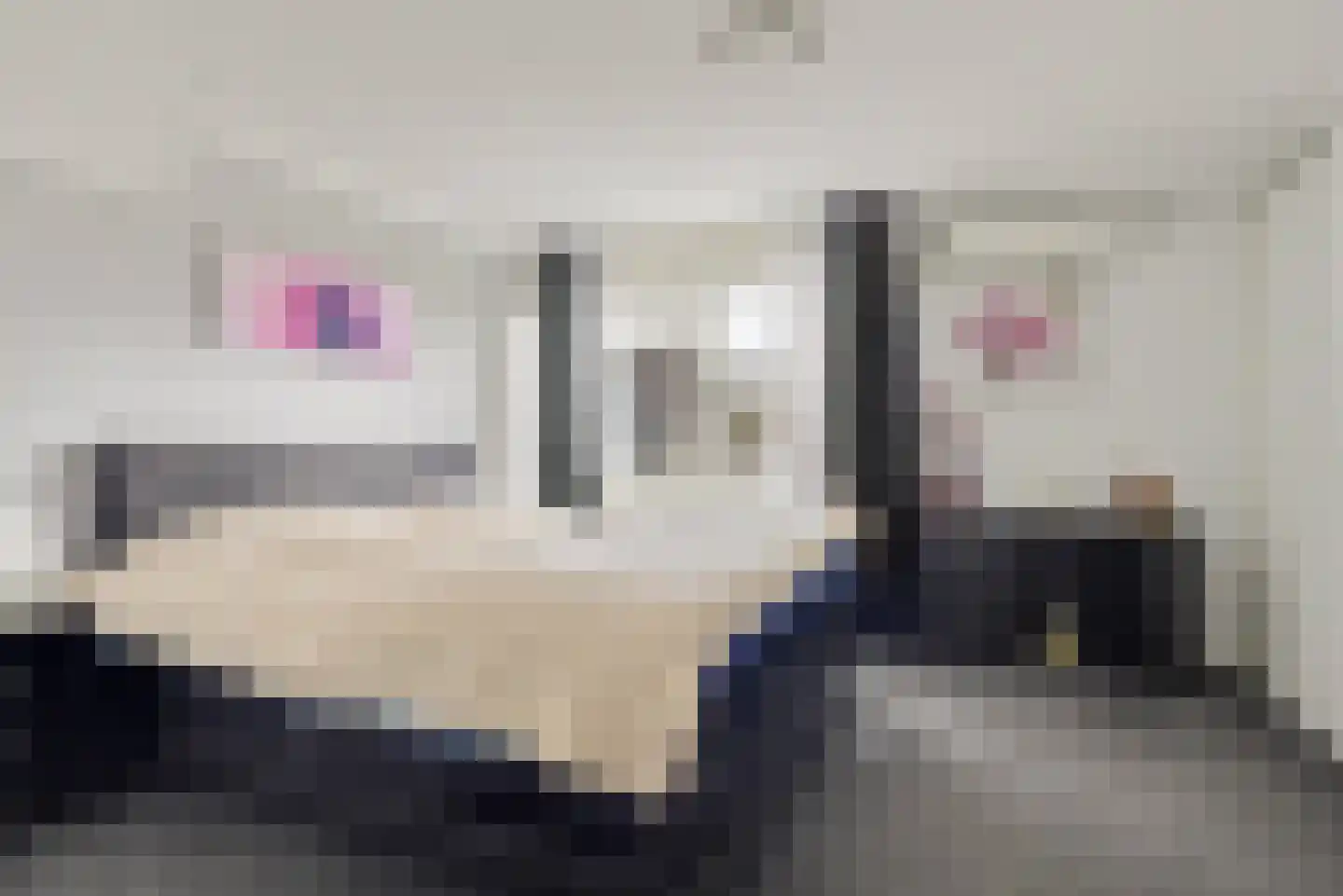 Vardinkhof 8 Winterswijk Kotten thumbnail 33