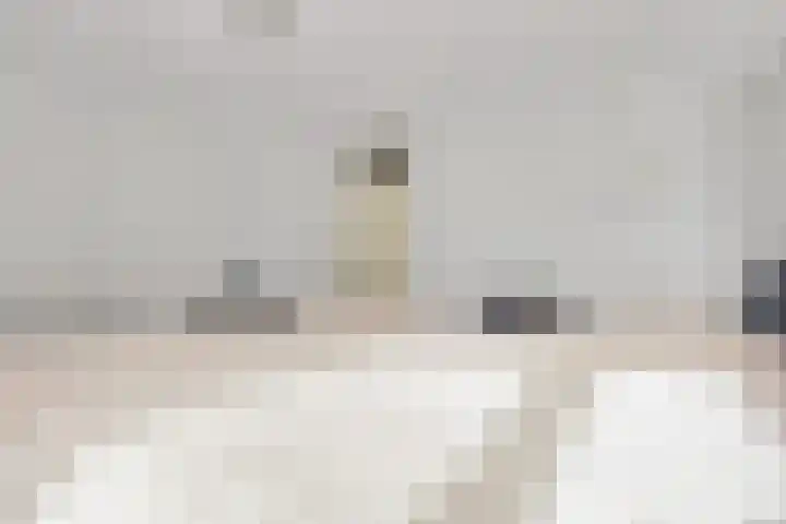 Vardinkhof 8 Winterswijk Kotten thumbnail 34