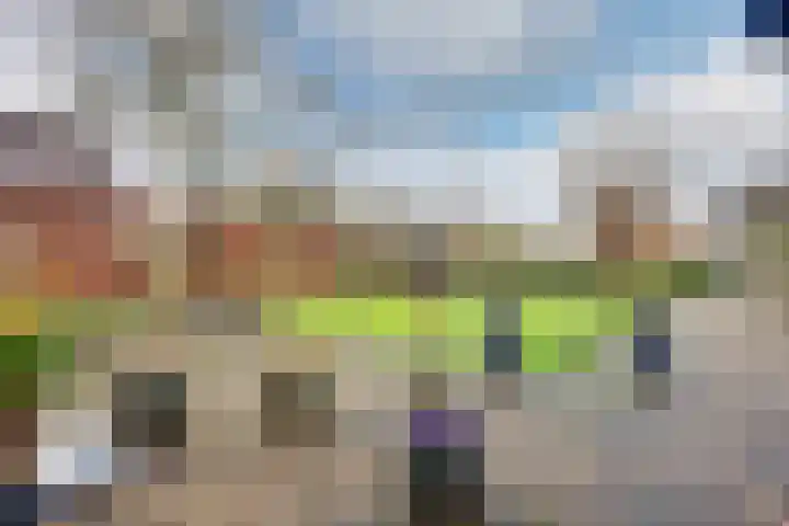 Vardinkhof 8 Winterswijk Kotten thumbnail 48