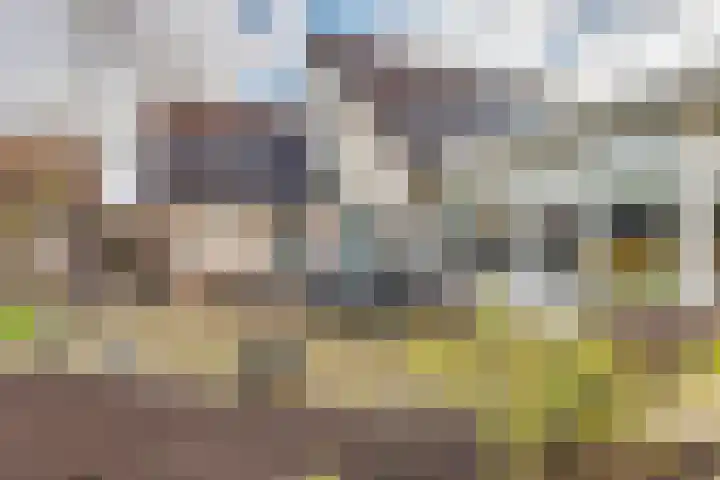Vardinkhof 8 Winterswijk Kotten thumbnail 50
