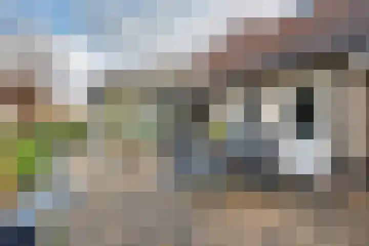 Vardinkhof 8 Winterswijk Kotten thumbnail 51