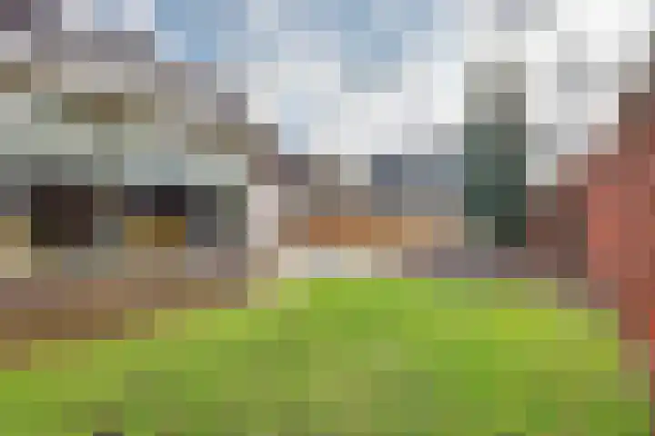 Vardinkhof 8 Winterswijk Kotten thumbnail 52