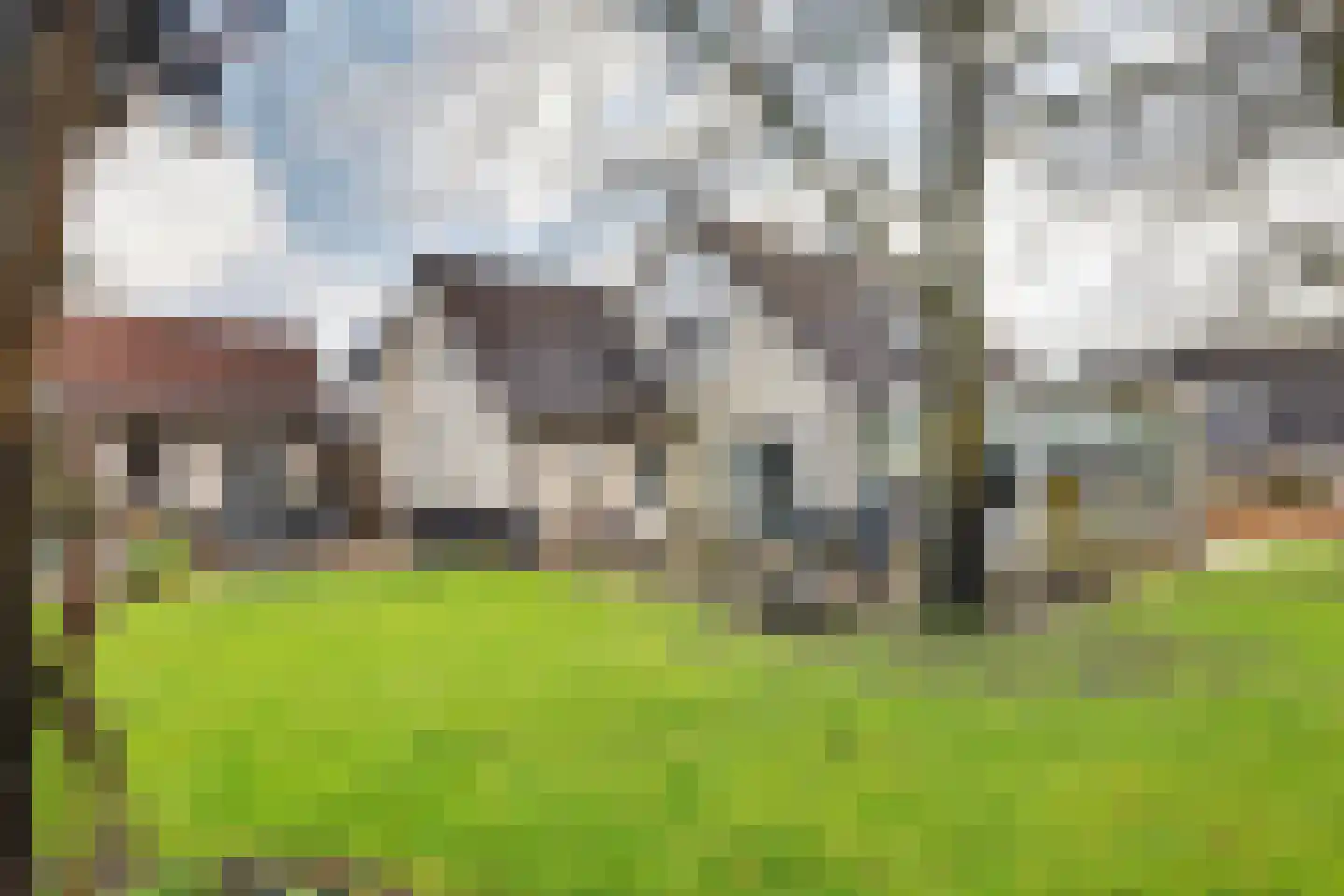 Vardinkhof 8 Winterswijk Kotten thumbnail 53