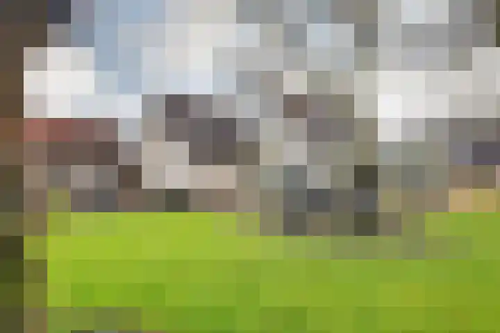 Vardinkhof 8 Winterswijk Kotten thumbnail 53