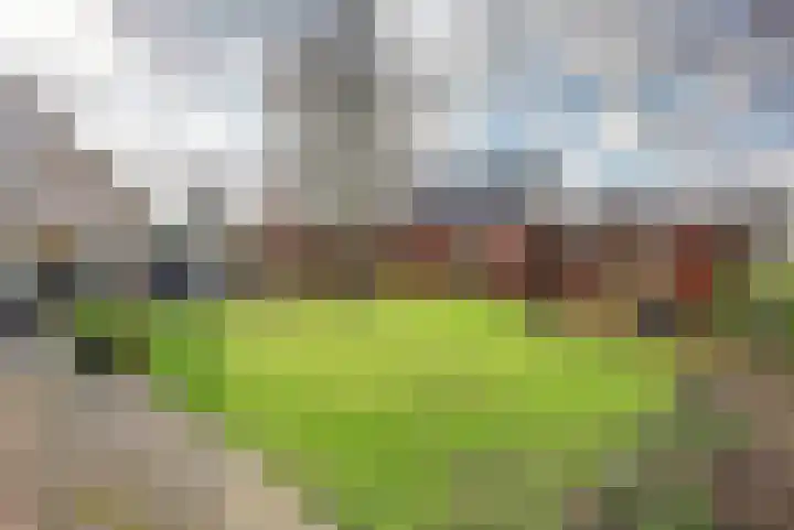 Vardinkhof 8 Winterswijk Kotten thumbnail 54